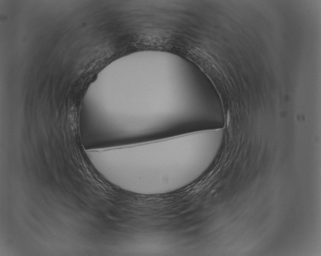 X0000088741107200705311044