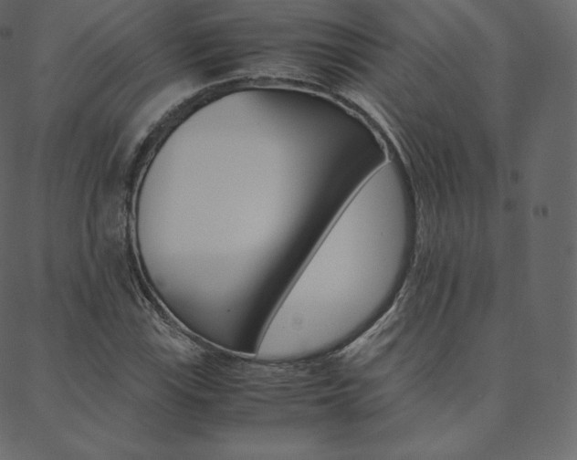 X0000088741115200705311044