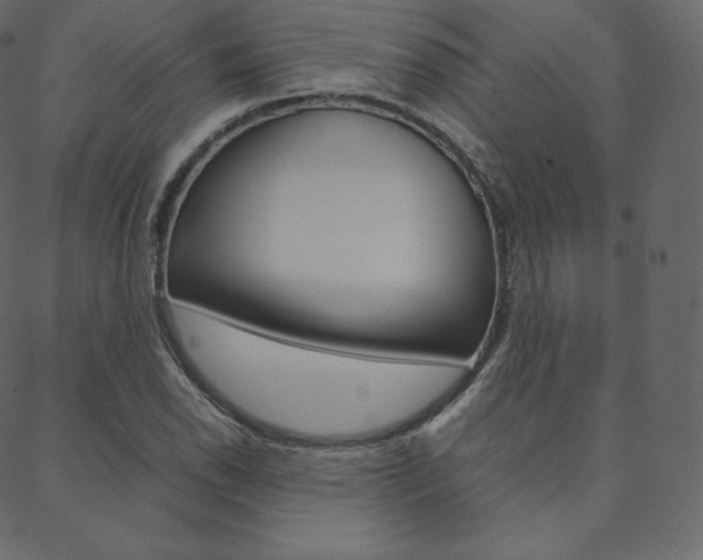 X0000088741118200705311044