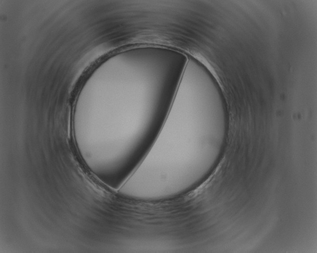 X0000088741123200705311045