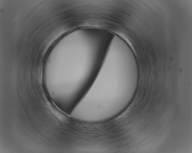 X0000088741131200705311045