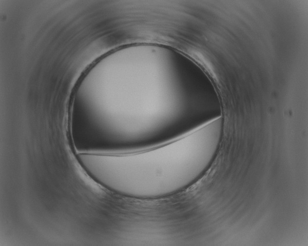 X0000088741136200705311045