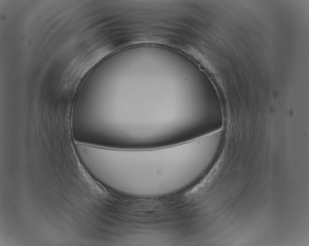 X0000088741137200705311045