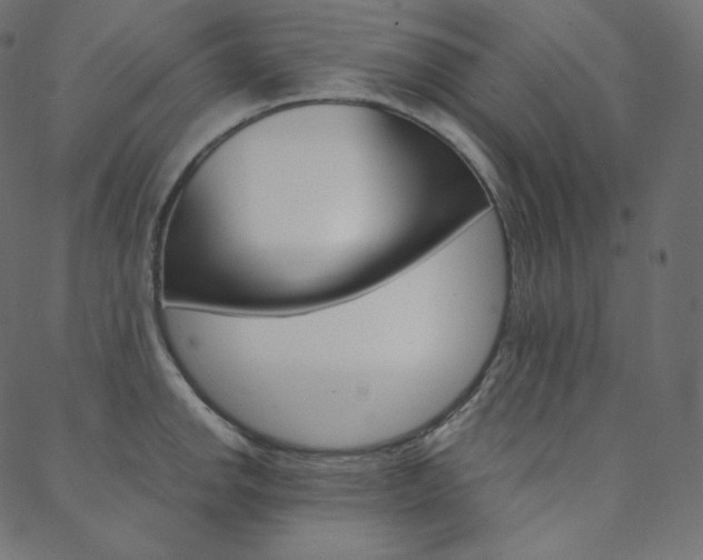 X0000088741142200705311045