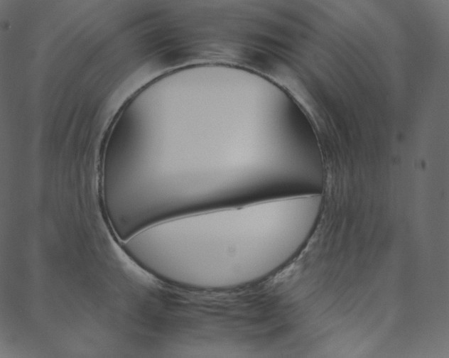 X0000088741143200705311045