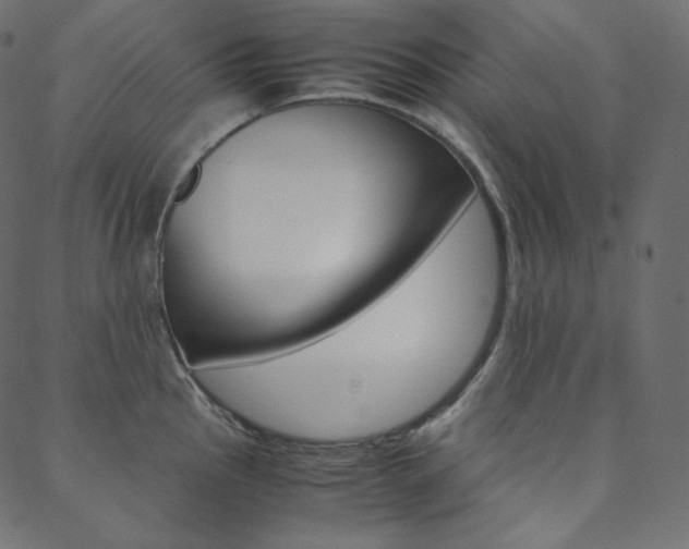 X0000088741145200705311045