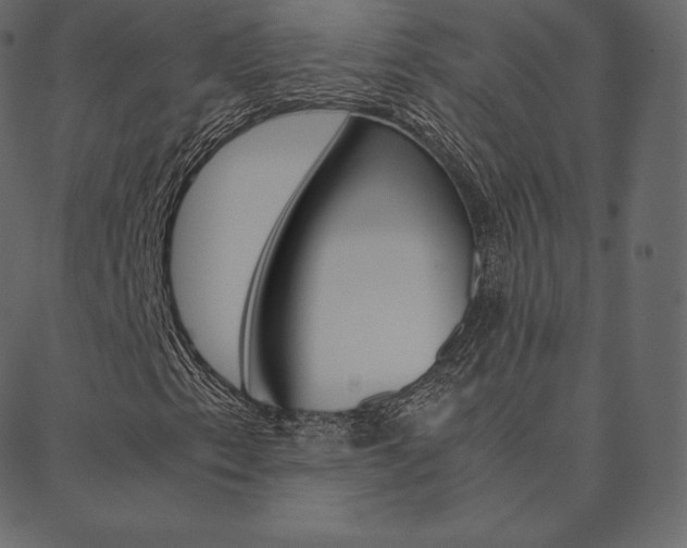 X0000088741153200705311044