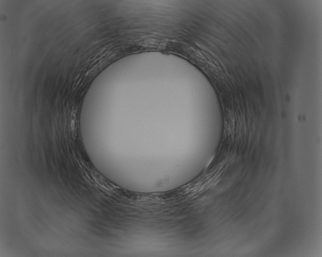 X0000088741154200705311044