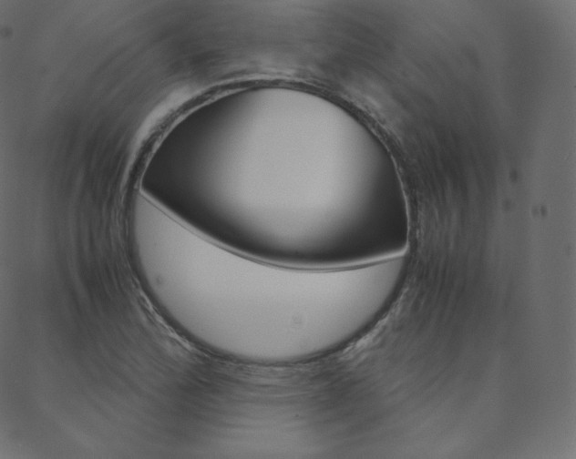 X0000088741172200705311044