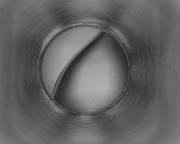X0000088741180200705311044