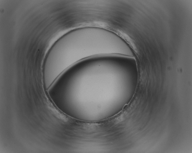X0000088741184200705311044