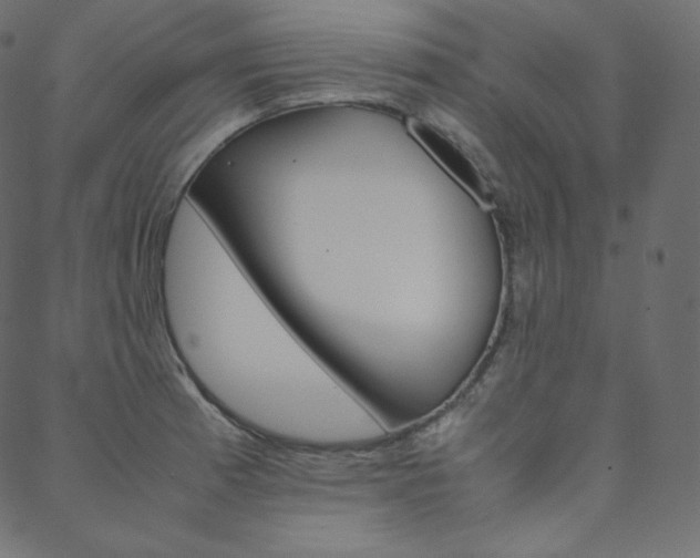 X0000088741185200705311044