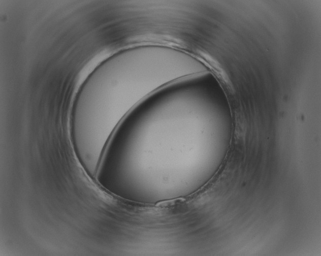 X0000088741188200705311044