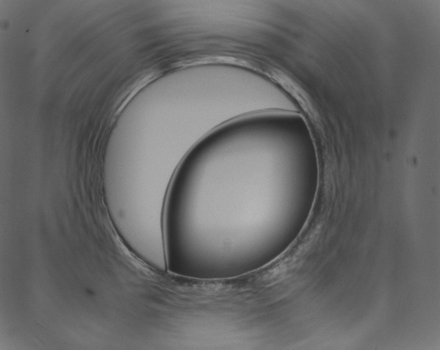 X0000088741193200705311044
