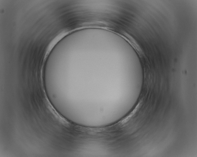 X0000088741196200705311044