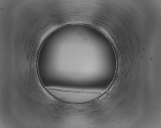 X0000088741197200705311043