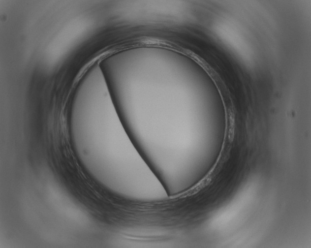 X0000088741198200705311043