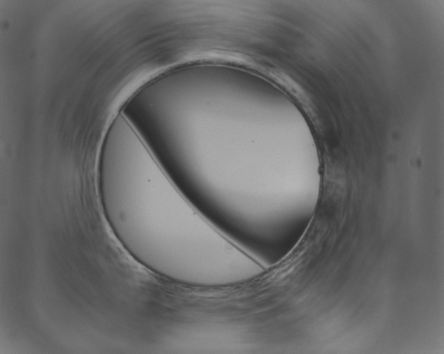 X0000088741199200705311043
