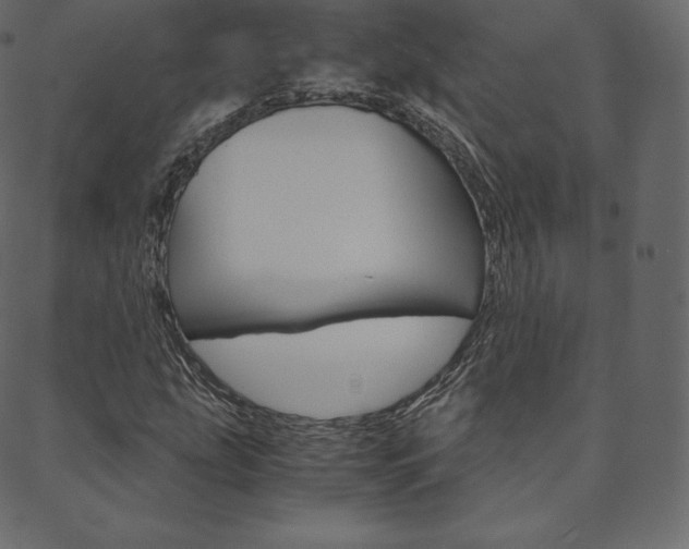 X0000088741207200705311043