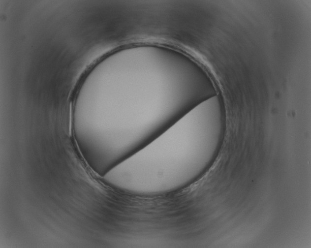 X0000088741223200705311043