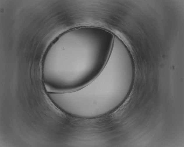X0000088741238200705311043