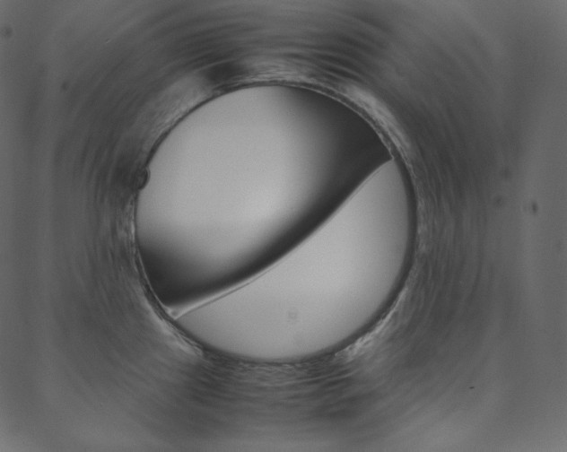 X0000088741241200705311043