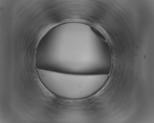 X0000088741244200705311043