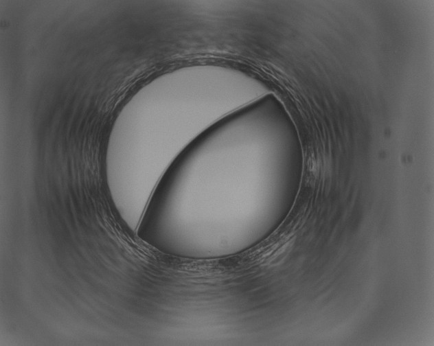 X0000088741252200705311043