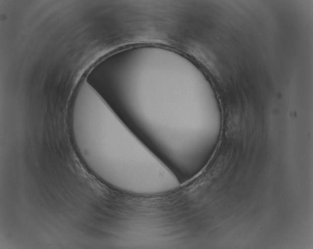 X0000088741268200705311042