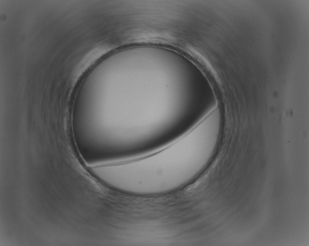 X0000088741277200705311042