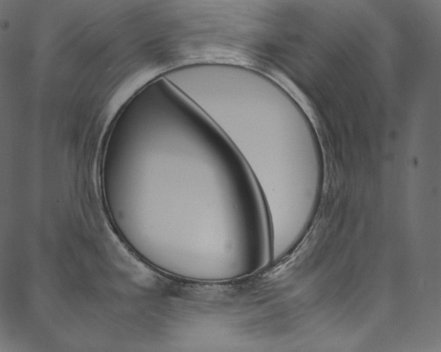 X0000088741293200705311042