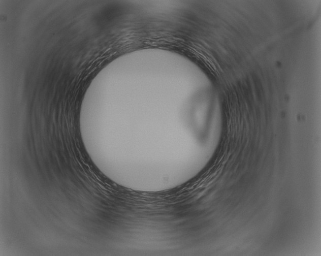 X0000088741298200705311041