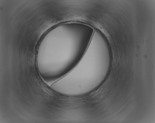 X0000088741316200705311041