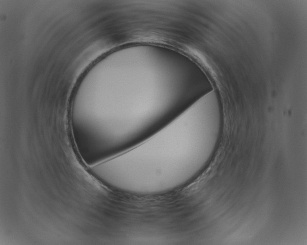 X0000088741331200705311042