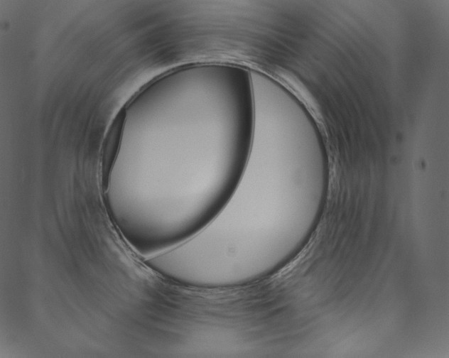 X0000088741340200705311042