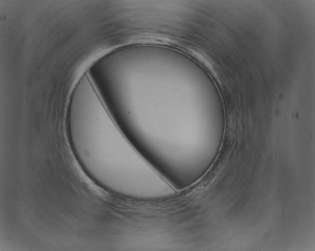 X0000088741379200705311041
