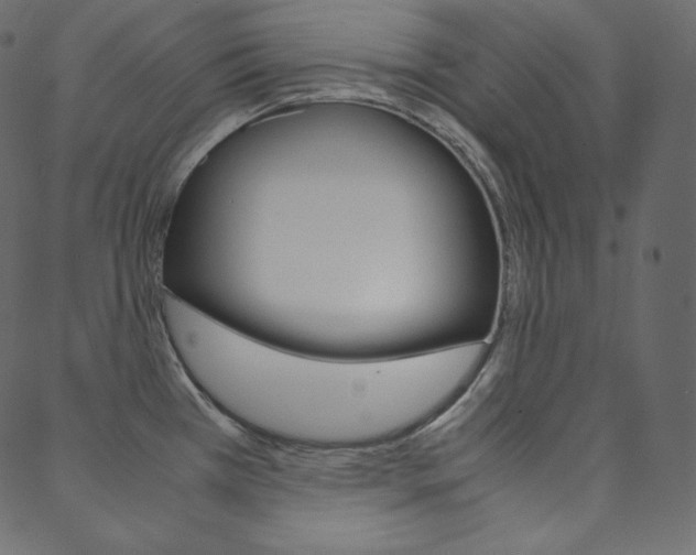 X0000088741385200705311040