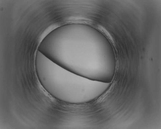 X0000088741386200705311040