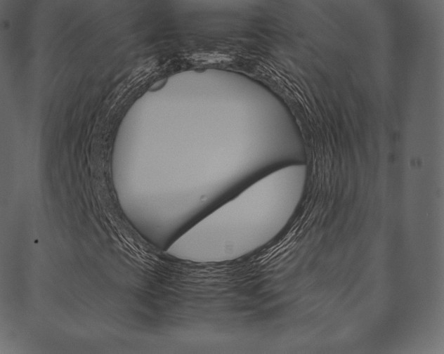 X0000088741393200705311040