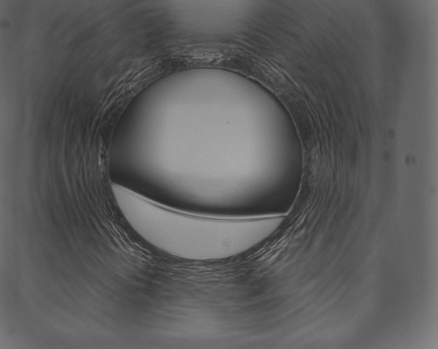 X0000088741394200705311040