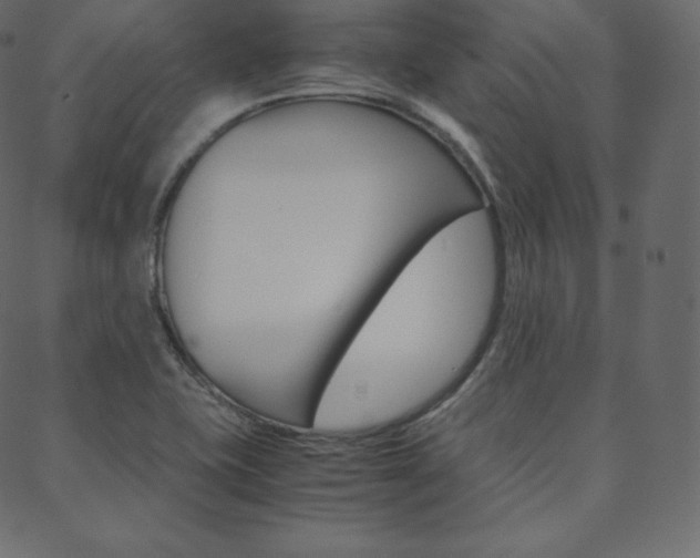 X0000088741415200705311040
