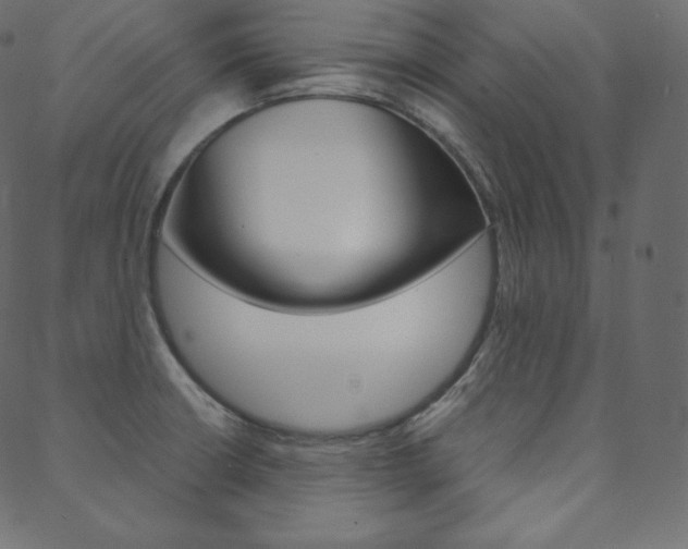 X0000088741426200705311040