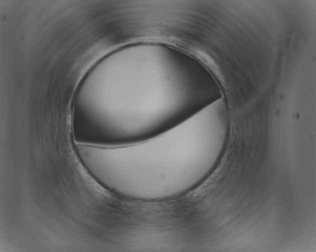 X0000088741428200705311040