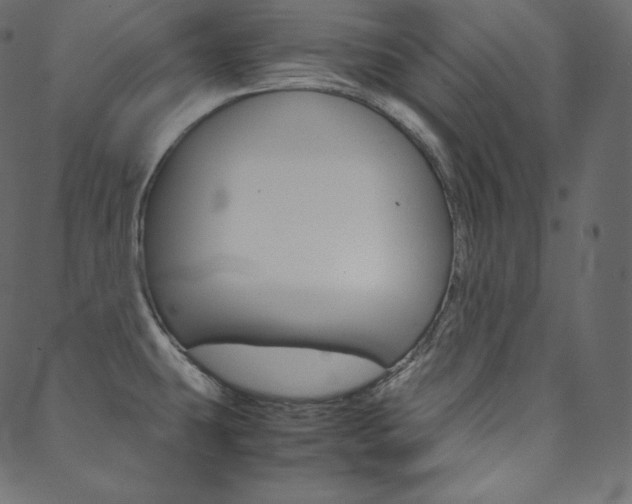 X0000088741431200705311040
