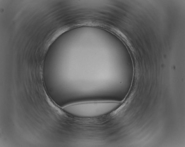 X0000088741433200705311040