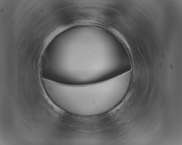 X0000088741437200705311040
