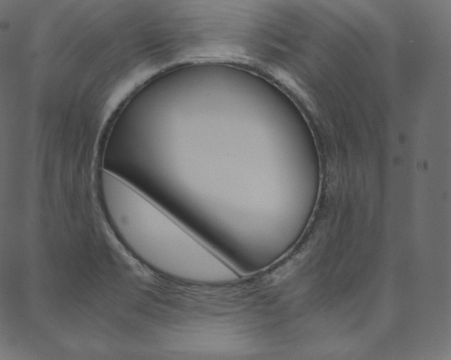 X0000088741469200705311039