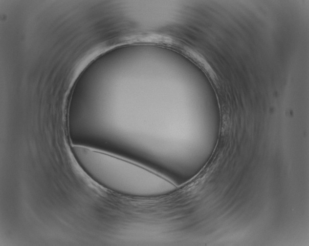 X0000088741483200705311039