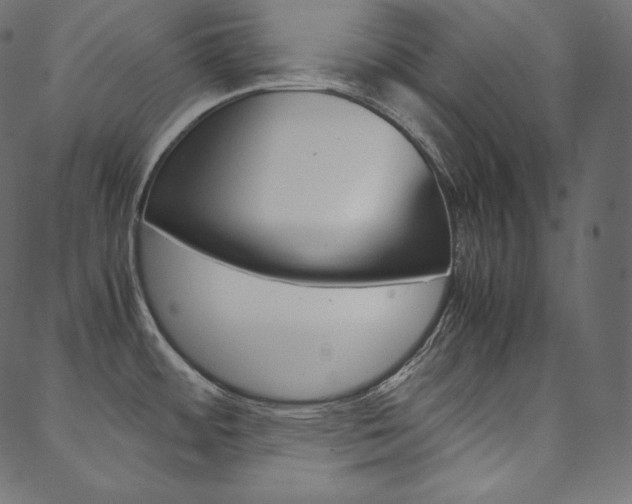 X0000088741484200705311039