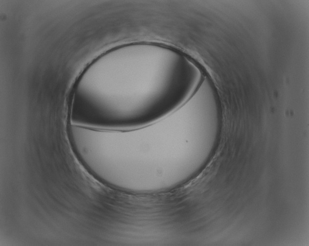 X0000088741508200705311038